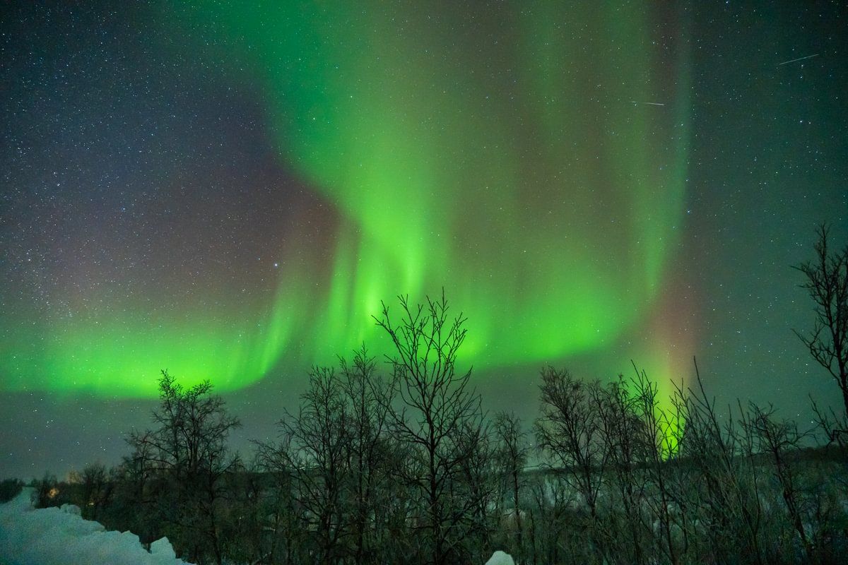 Northern Lights, Alta, Norway