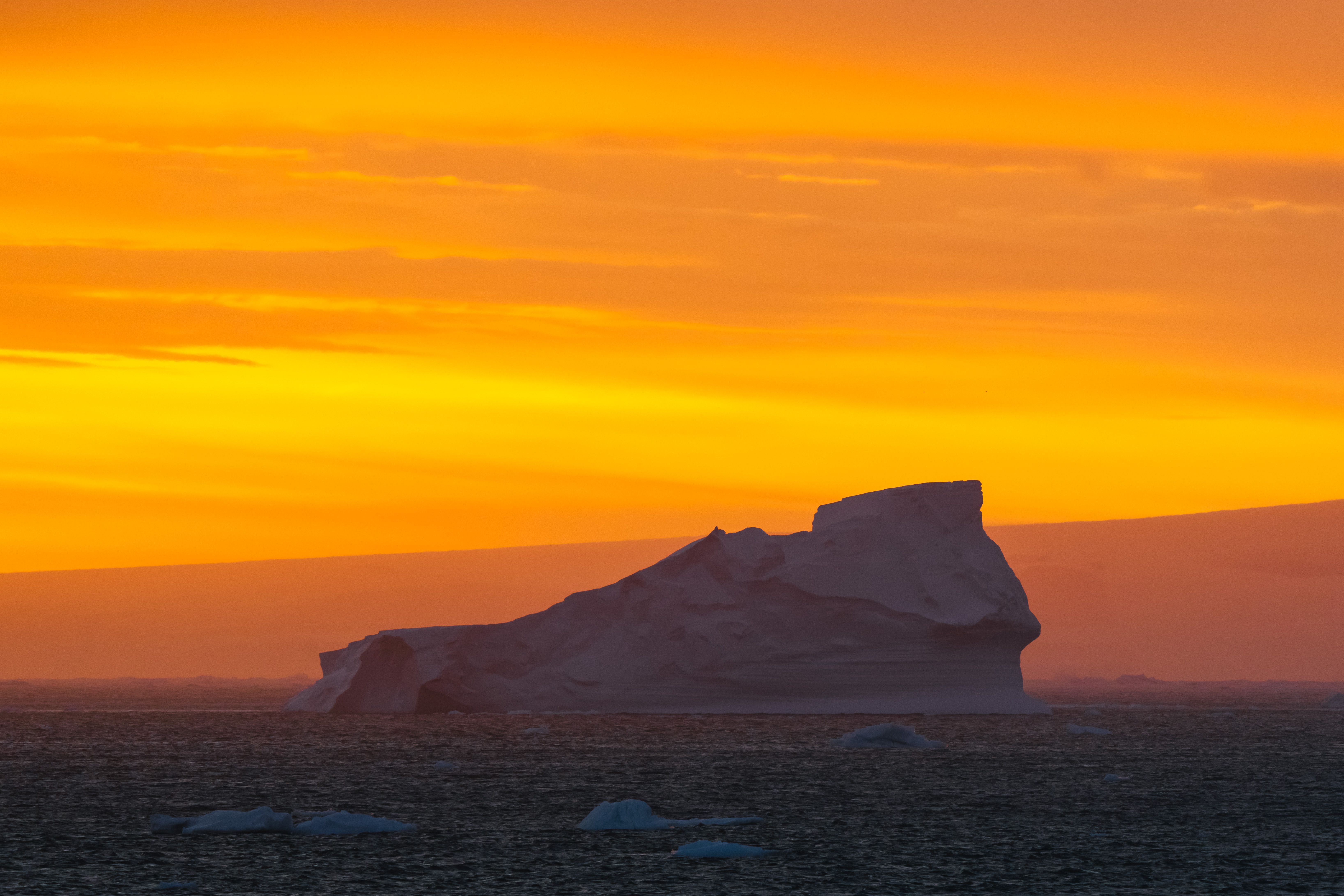 20250105_Antarctica_Hope+Bay_KayFochtmann-2.jpg