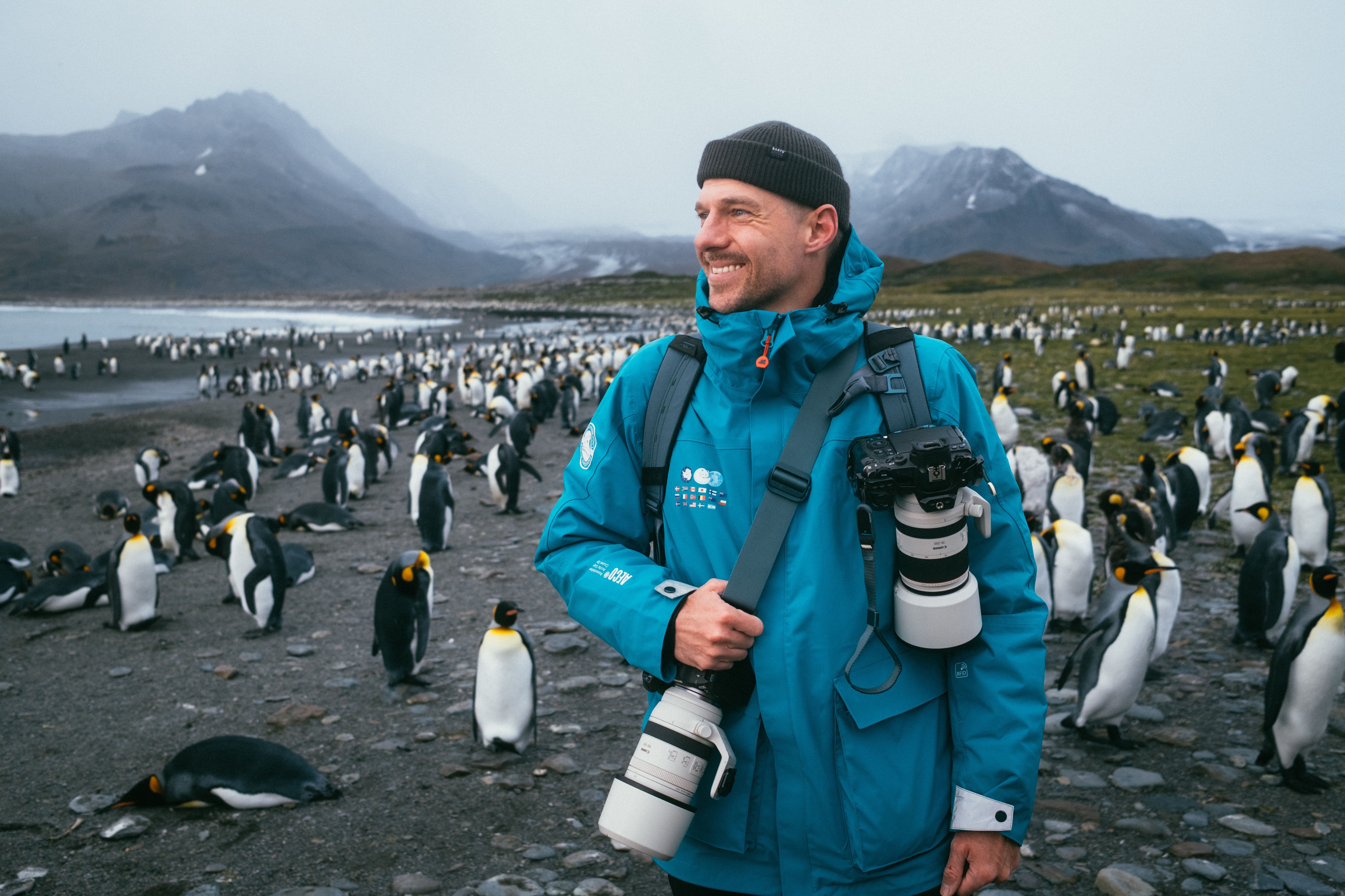 Penguin colony in South Georgia