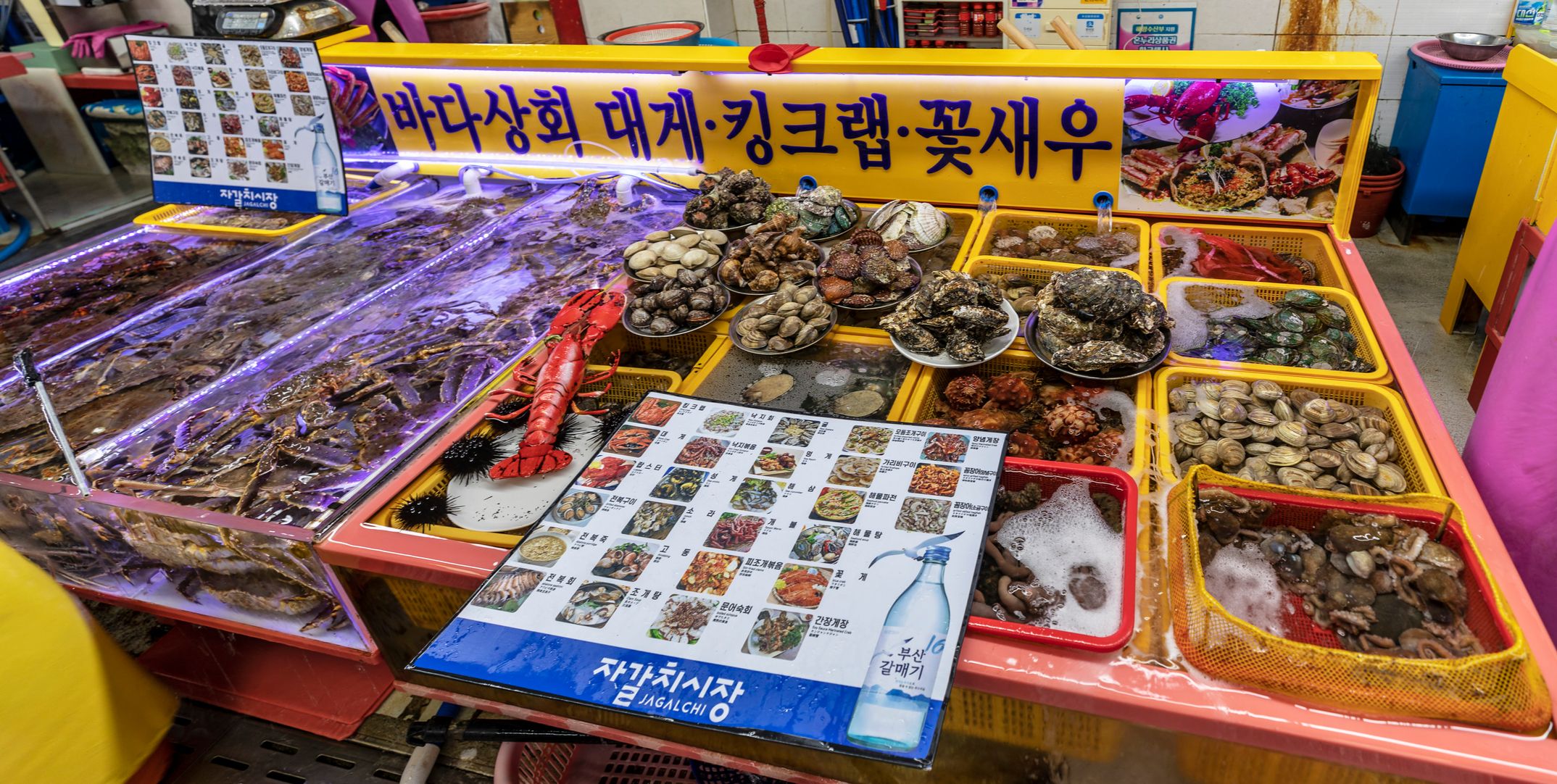 Busan Jagalchi Market