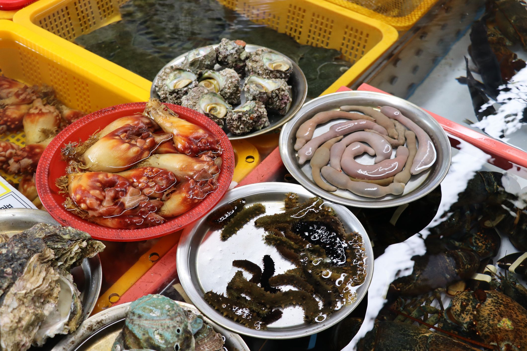 Busan fish market