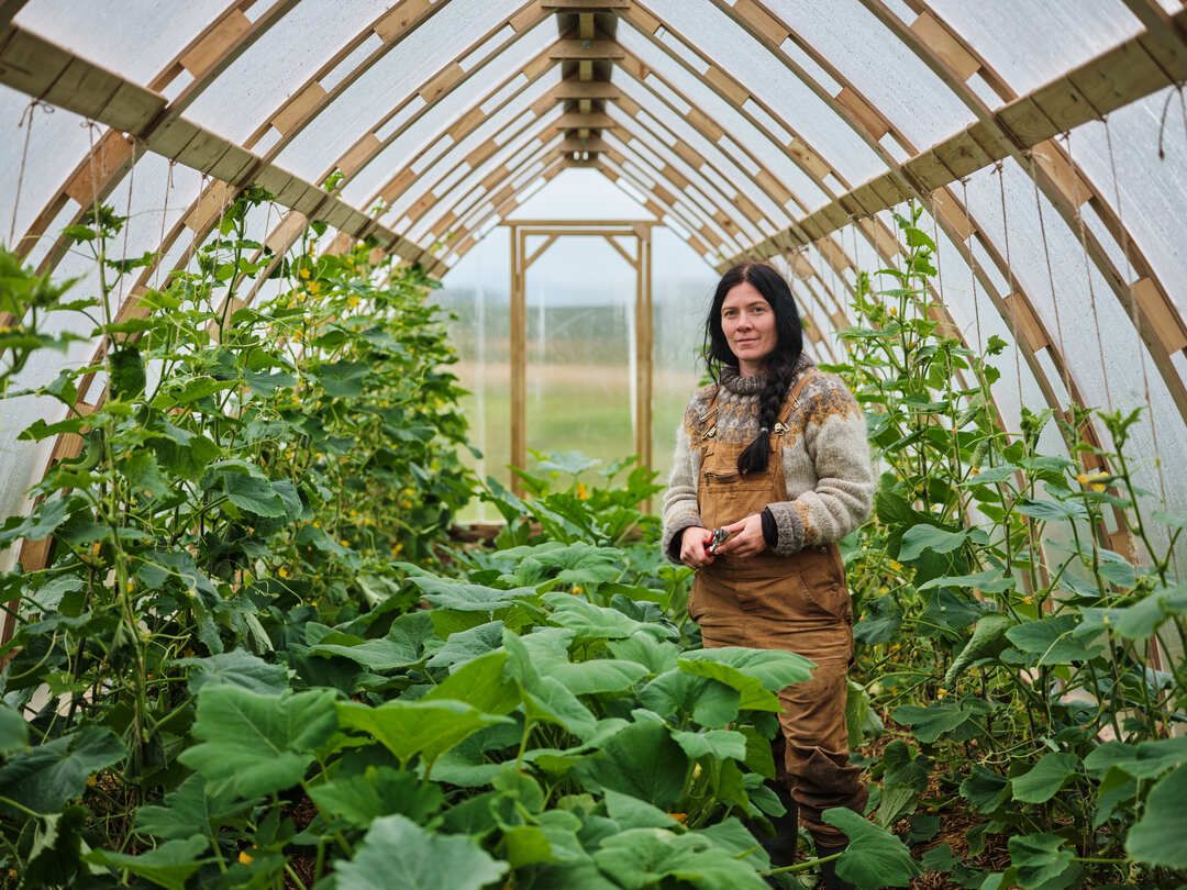 Gisle Melhus, Myklevik farm
