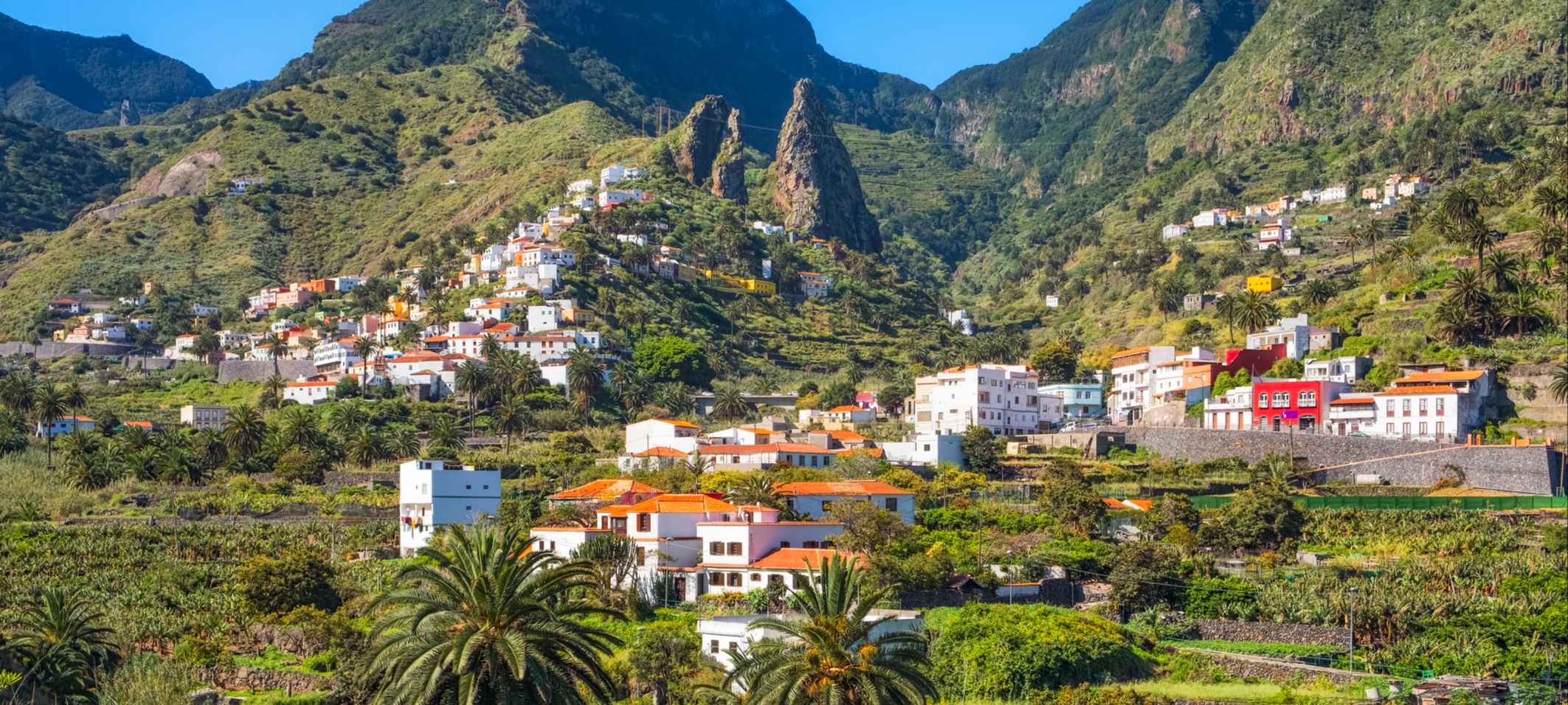 La Gomera canaries