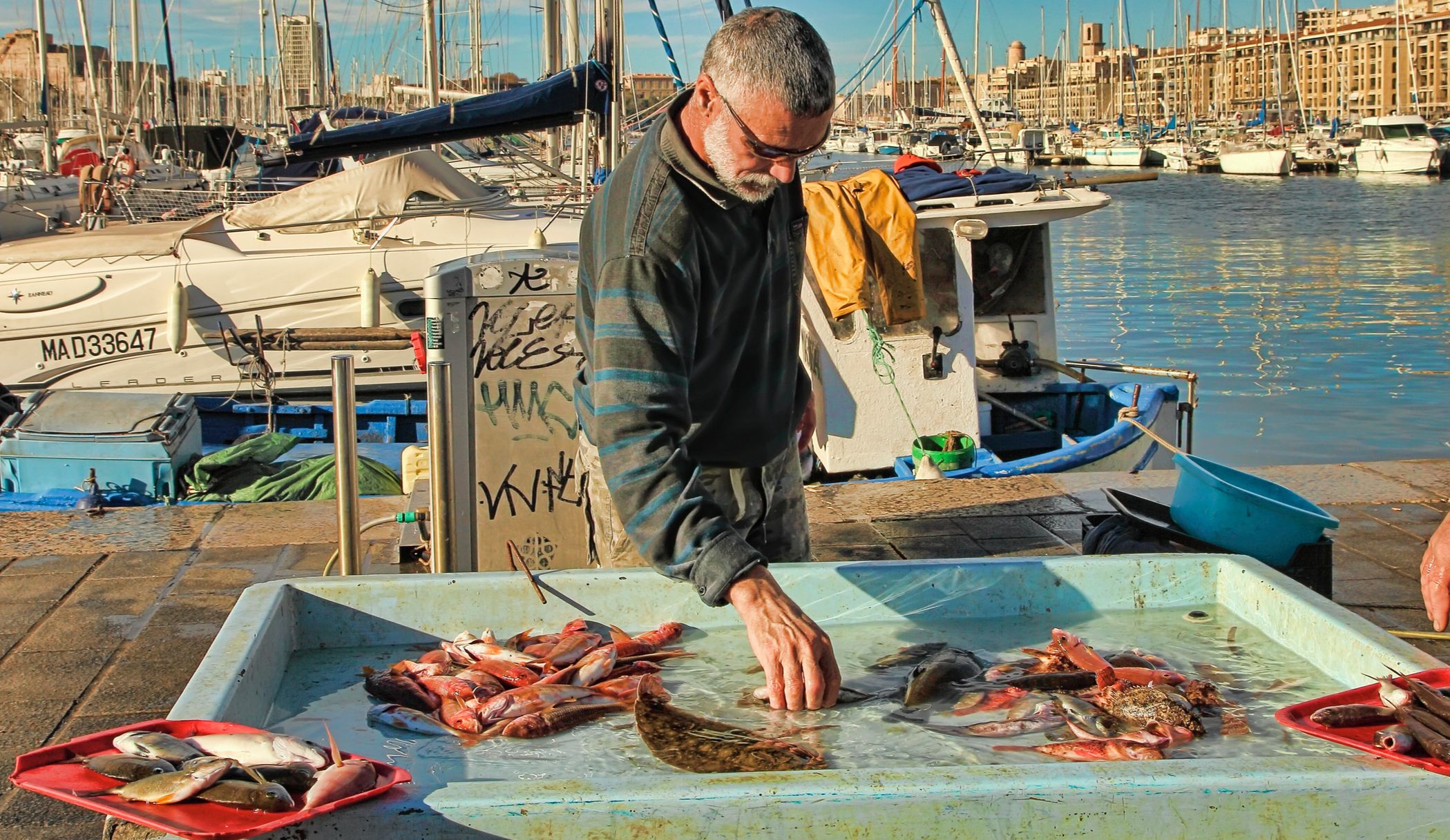 Marseille Vieux-Port fish market