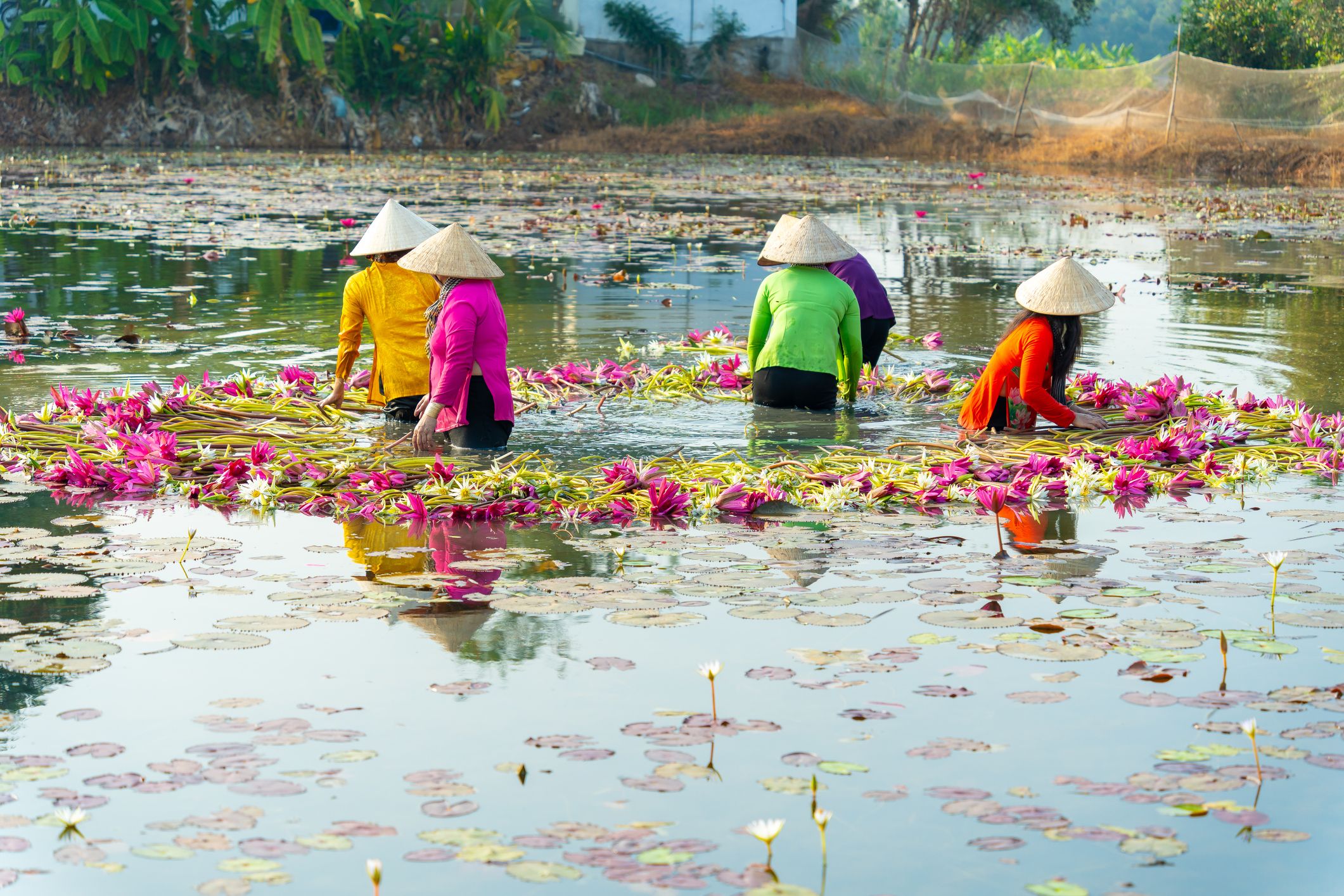 Mekong River