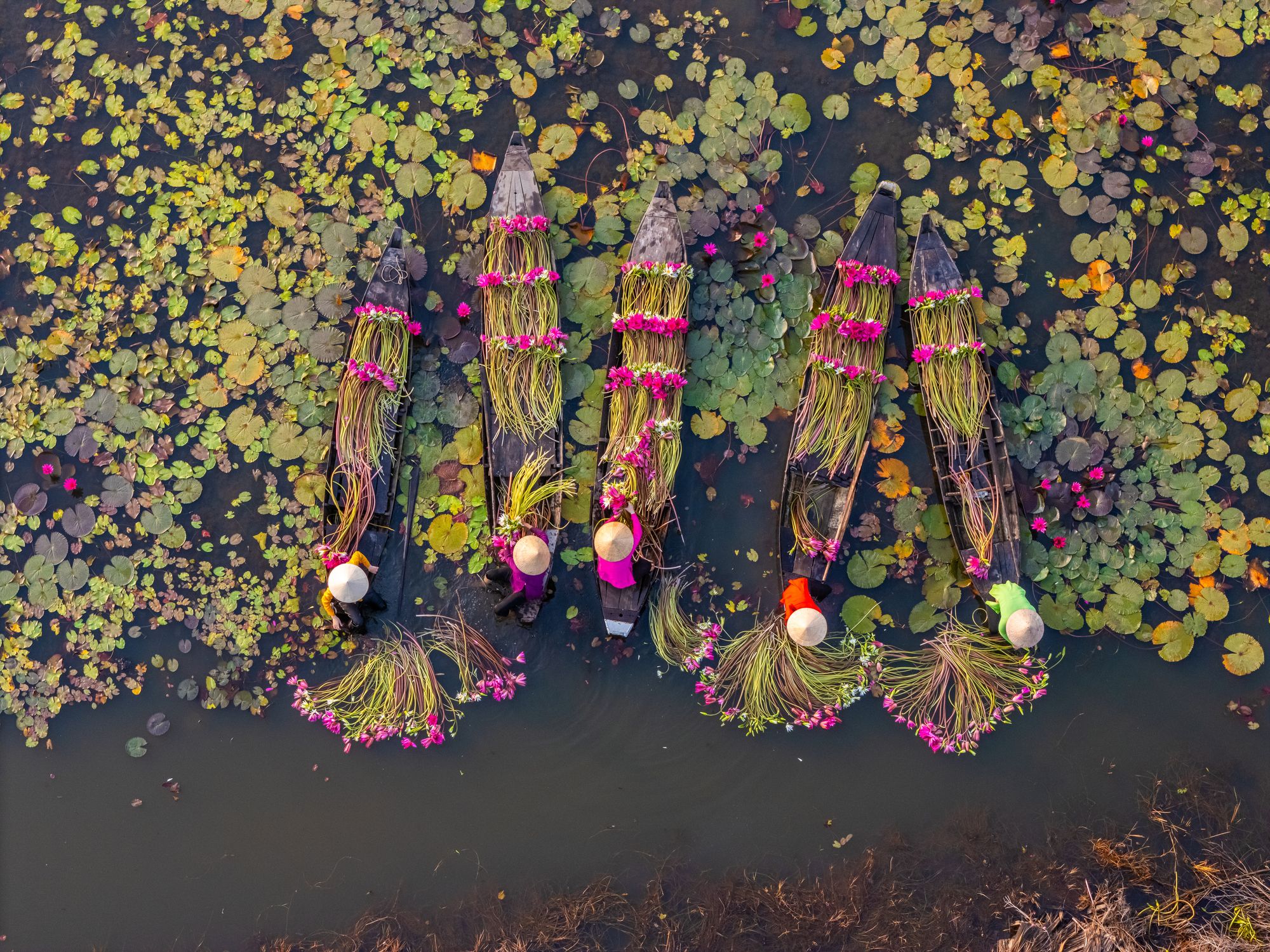 Mekong river