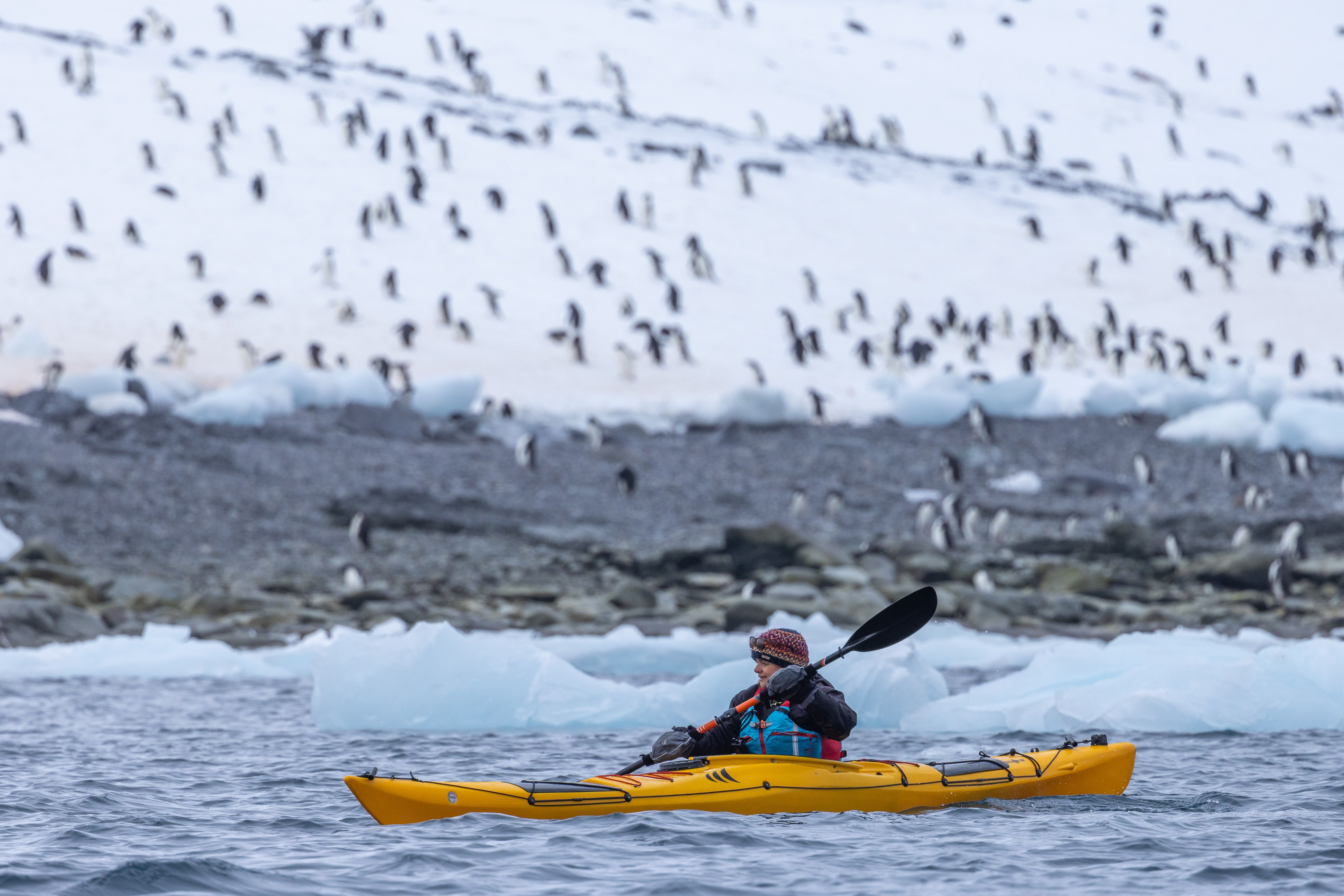 SH Diana - Peninsula-Hope Bay-Kayakers - 30_01_2025 - R5T_0169.jpg