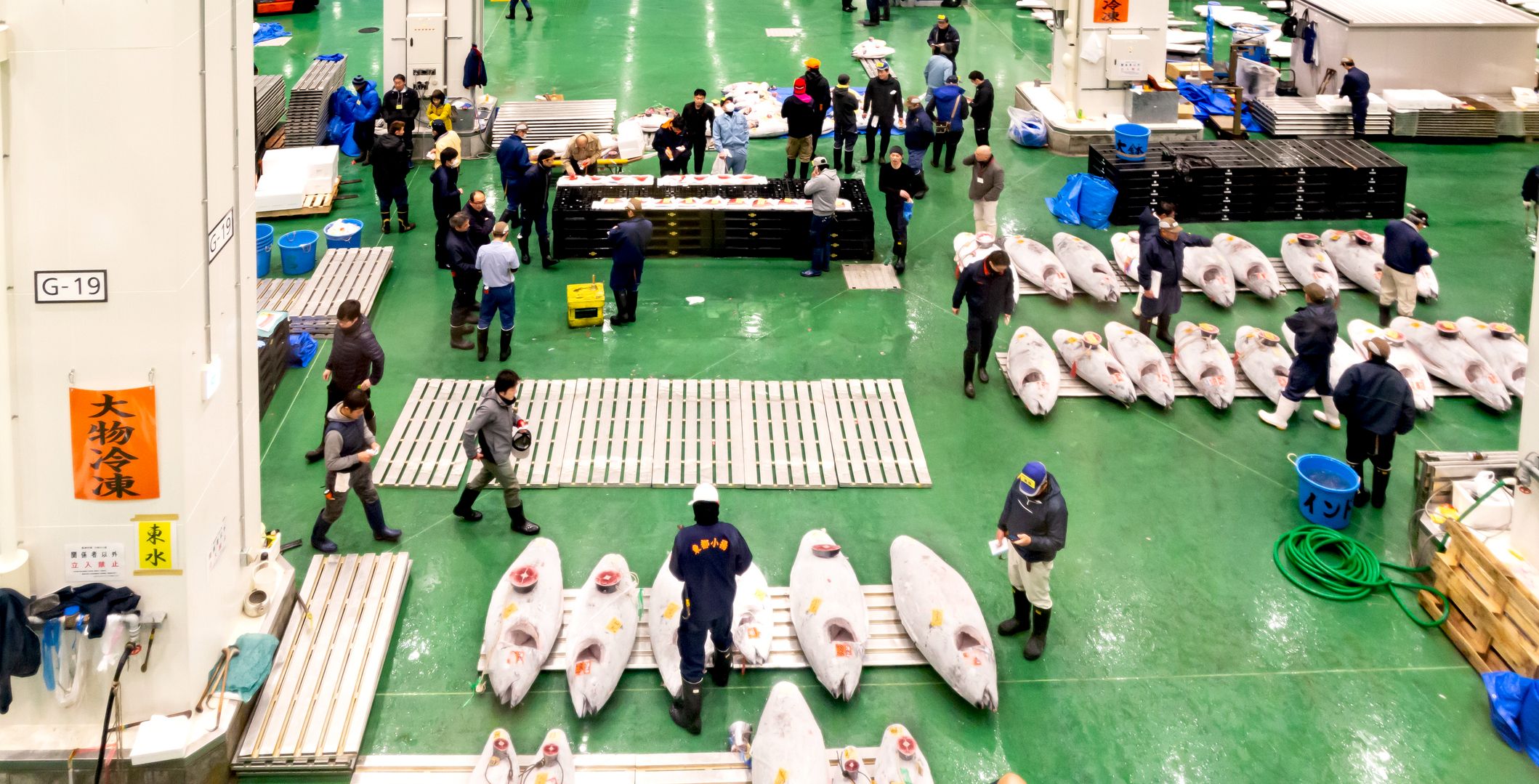 Tokyo Toyosu Market