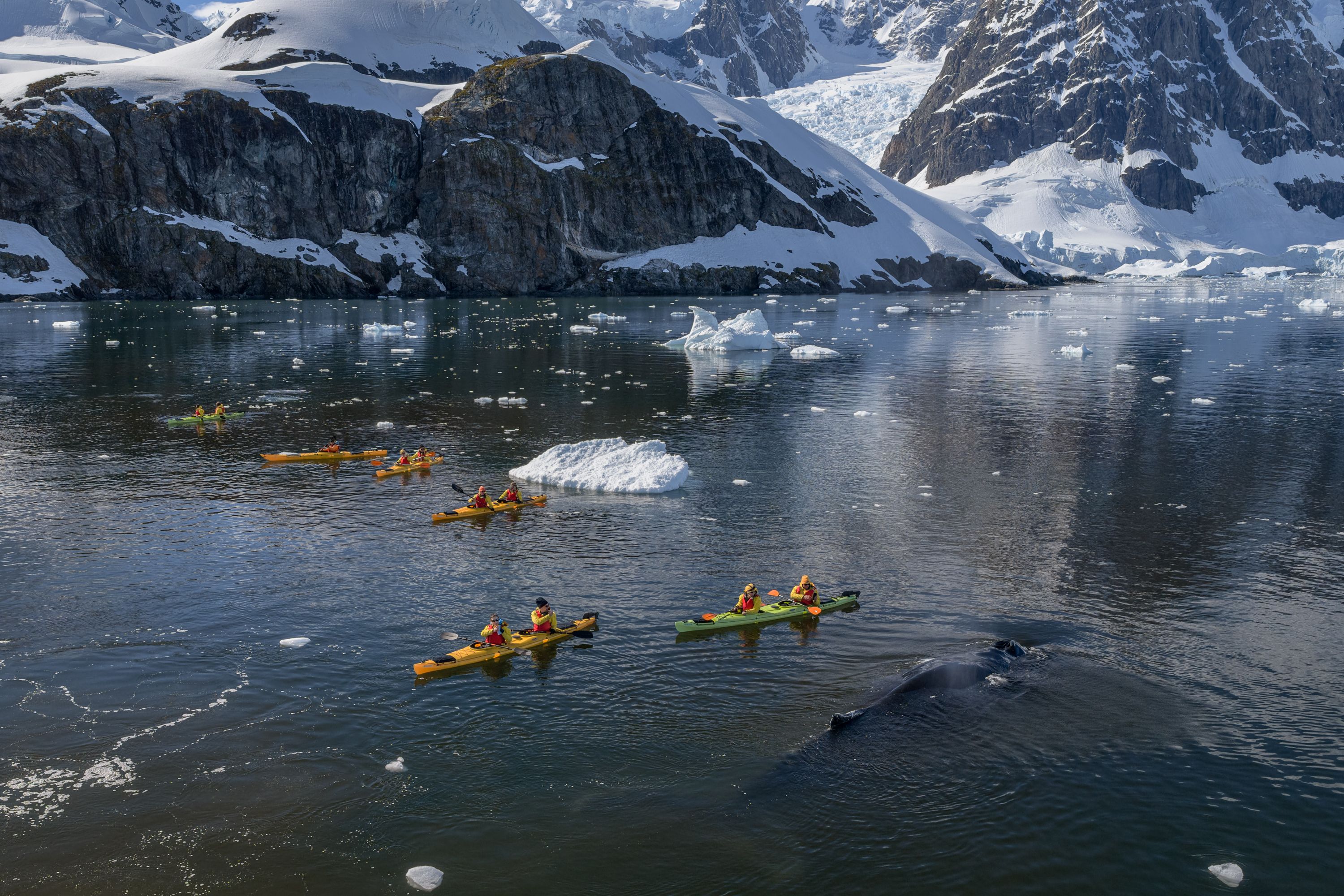 V3425121009 - Brown Station - Kayakers - 14_12_2025 - Rodolphe Villevieille_DJI_20251214094802_0458_D.jpg