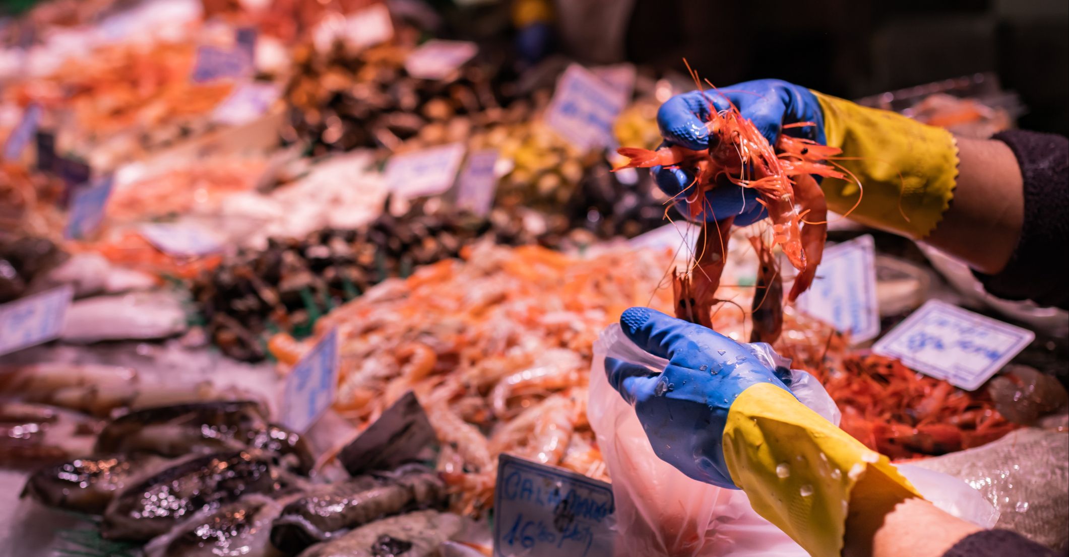 Vigo fish market