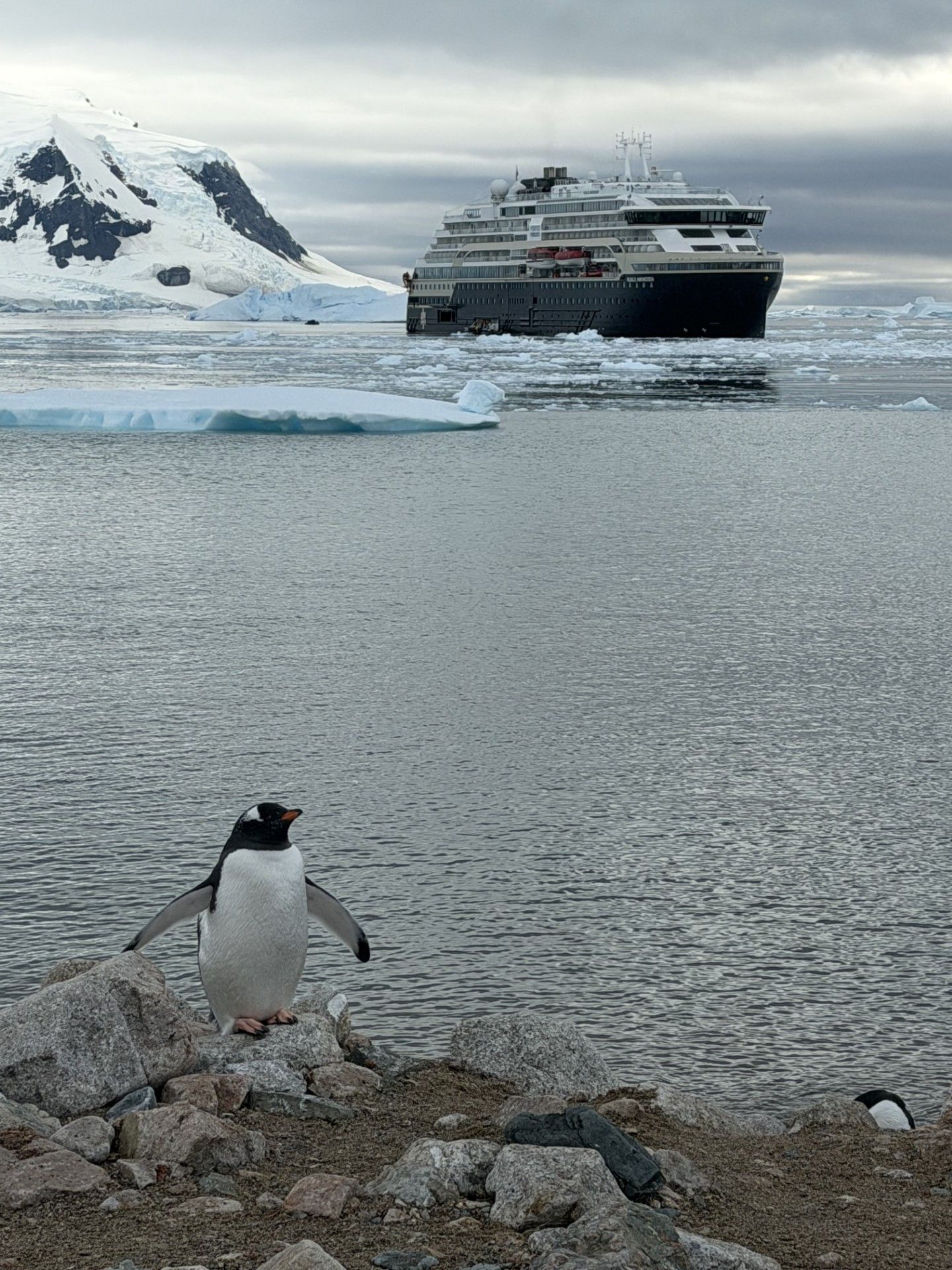 antarctica 2.jpeg
