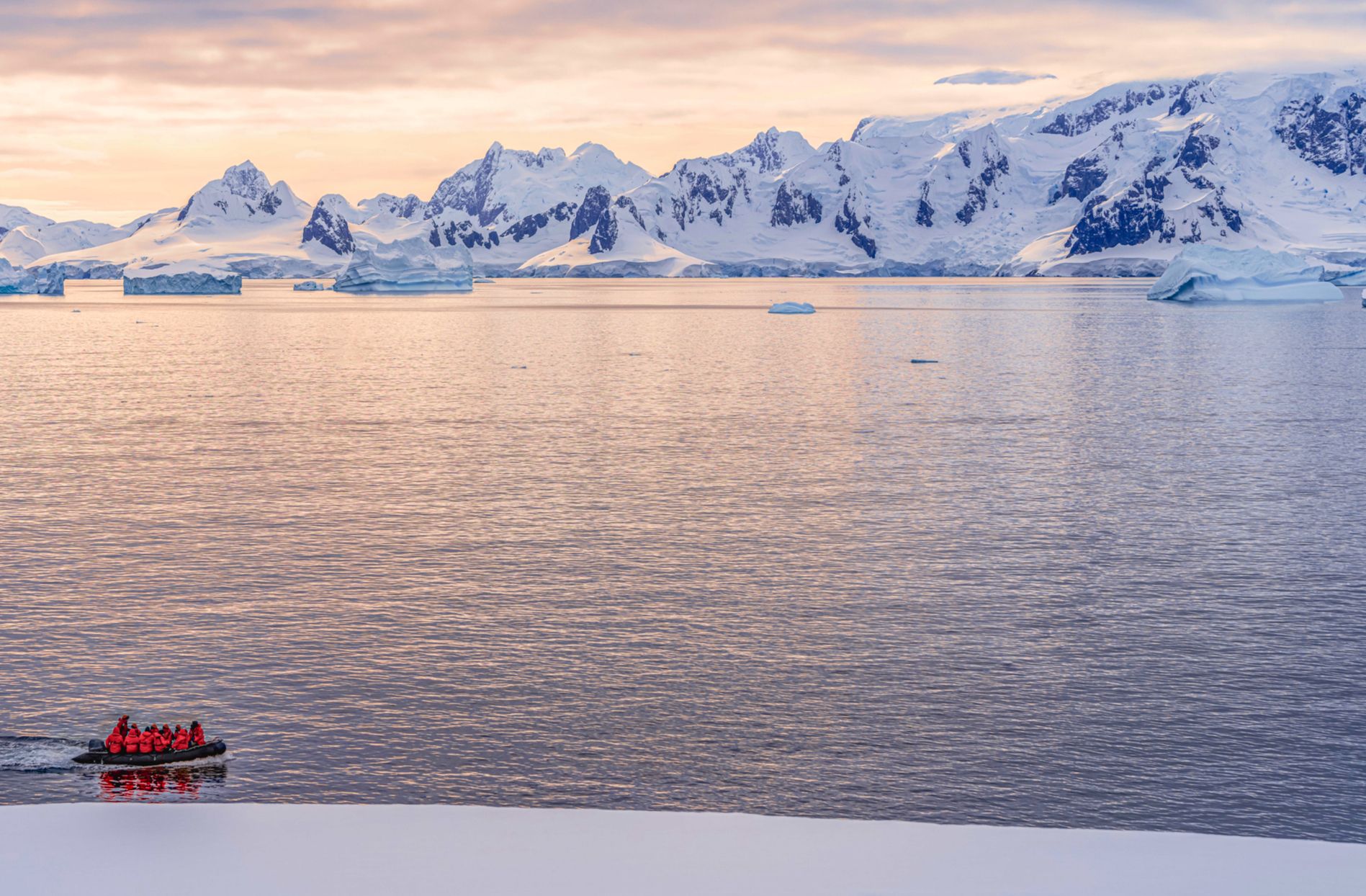 antarctica cruise