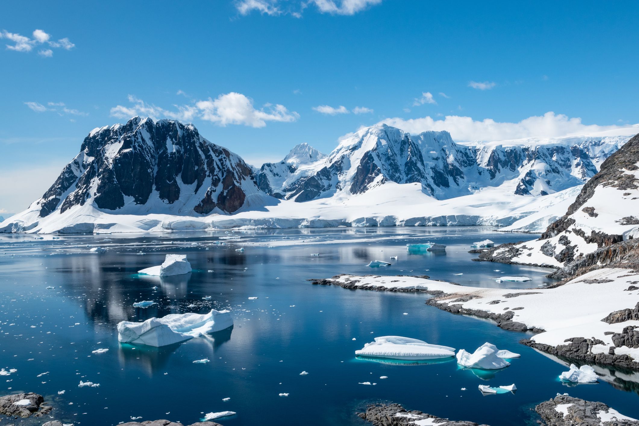 antarctica cruise