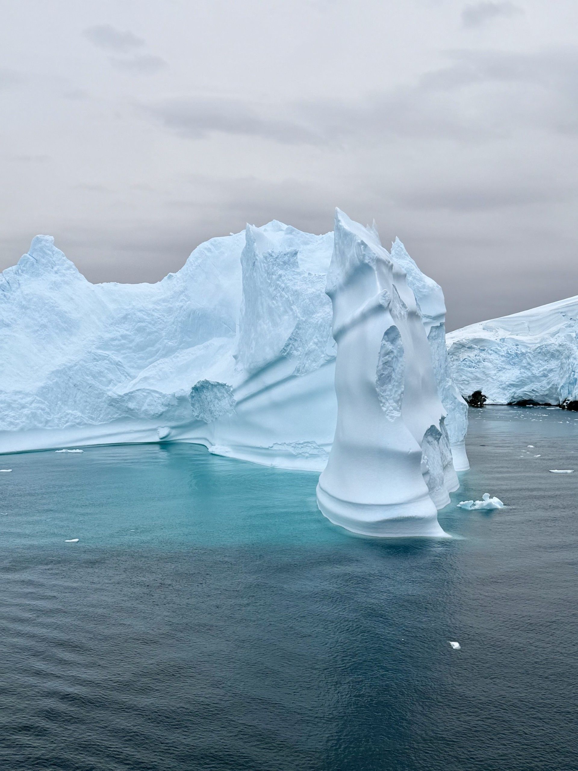 antarctica icebergs.jpeg