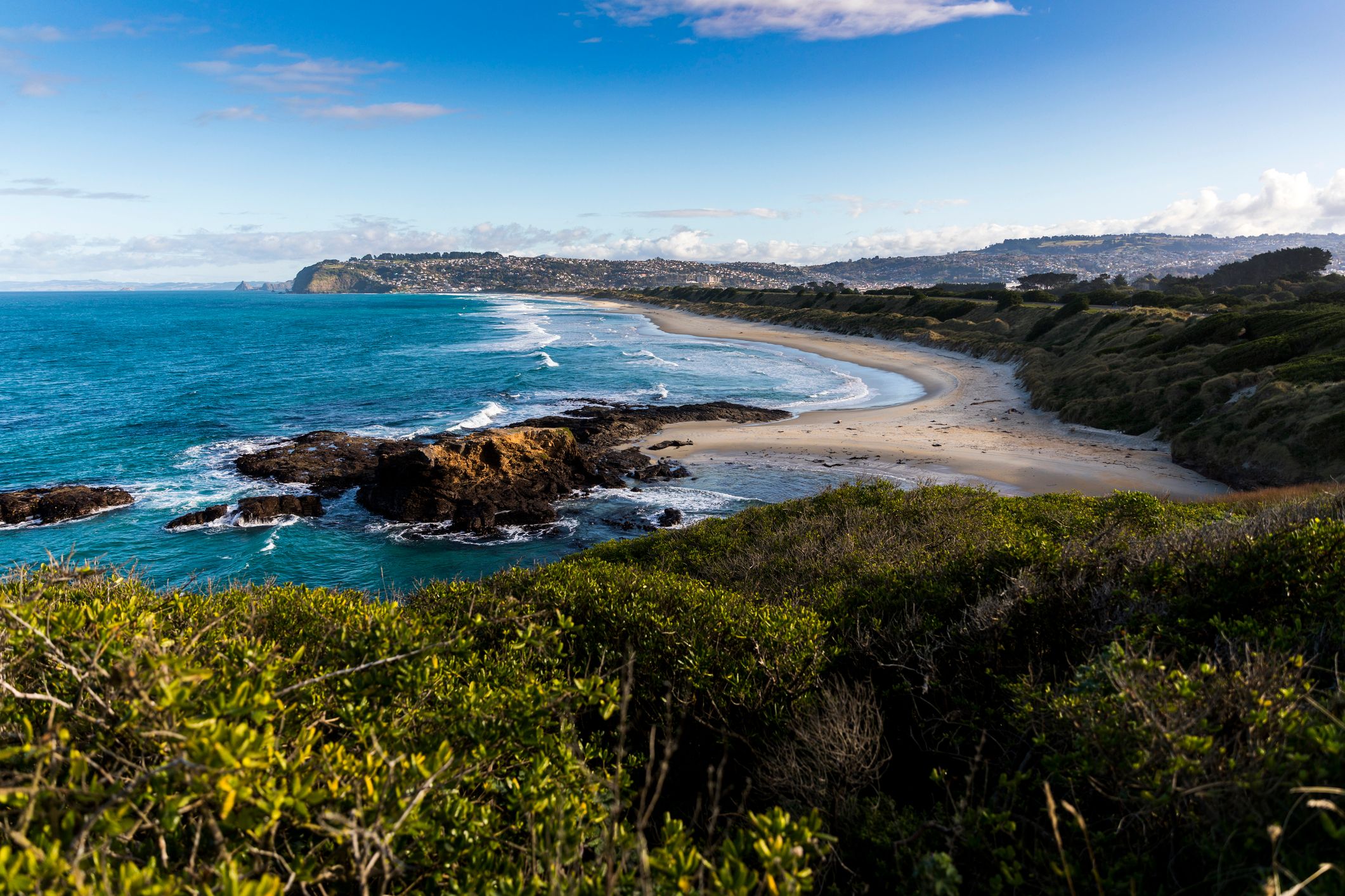 dunedin new zealand