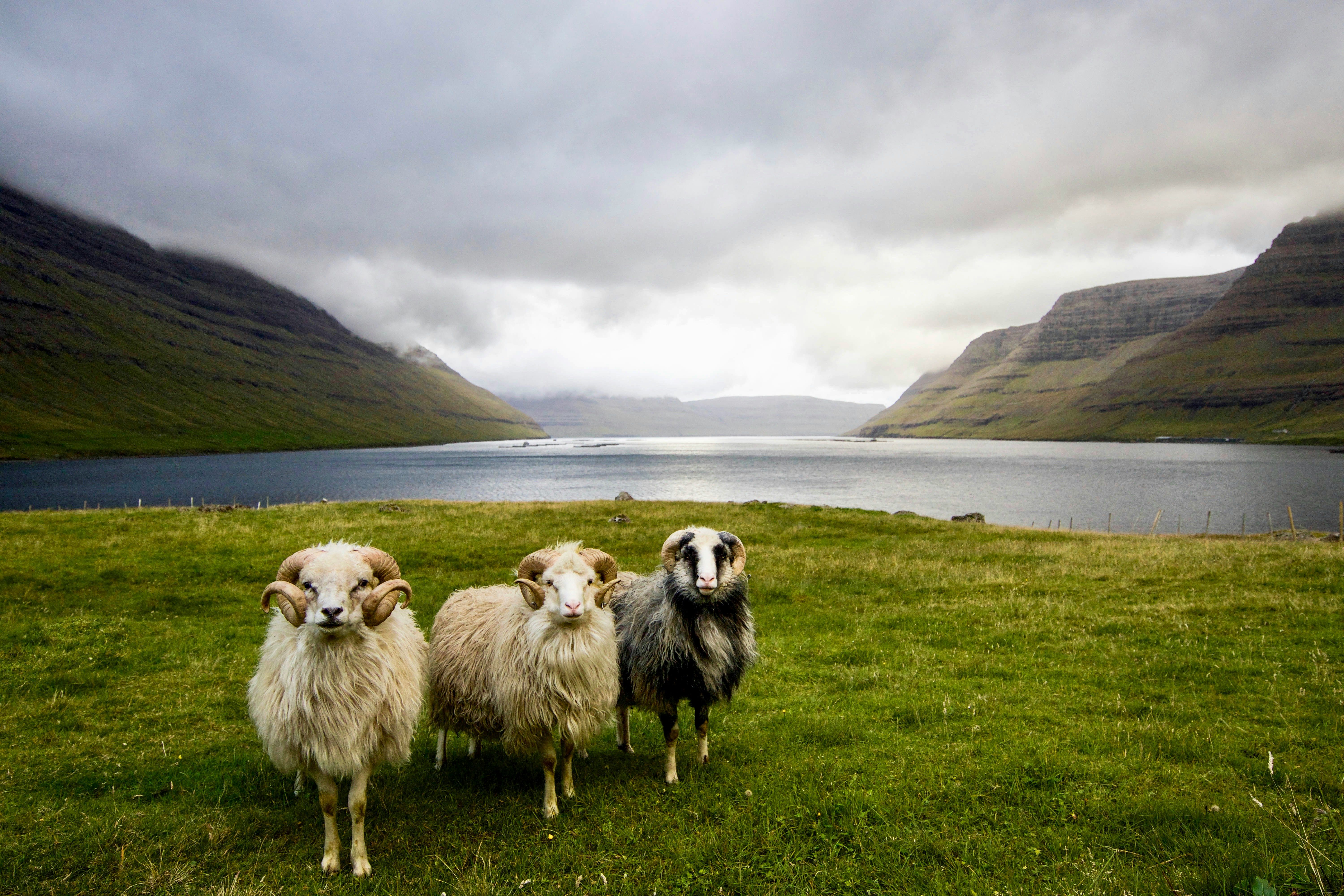 faroe islands
