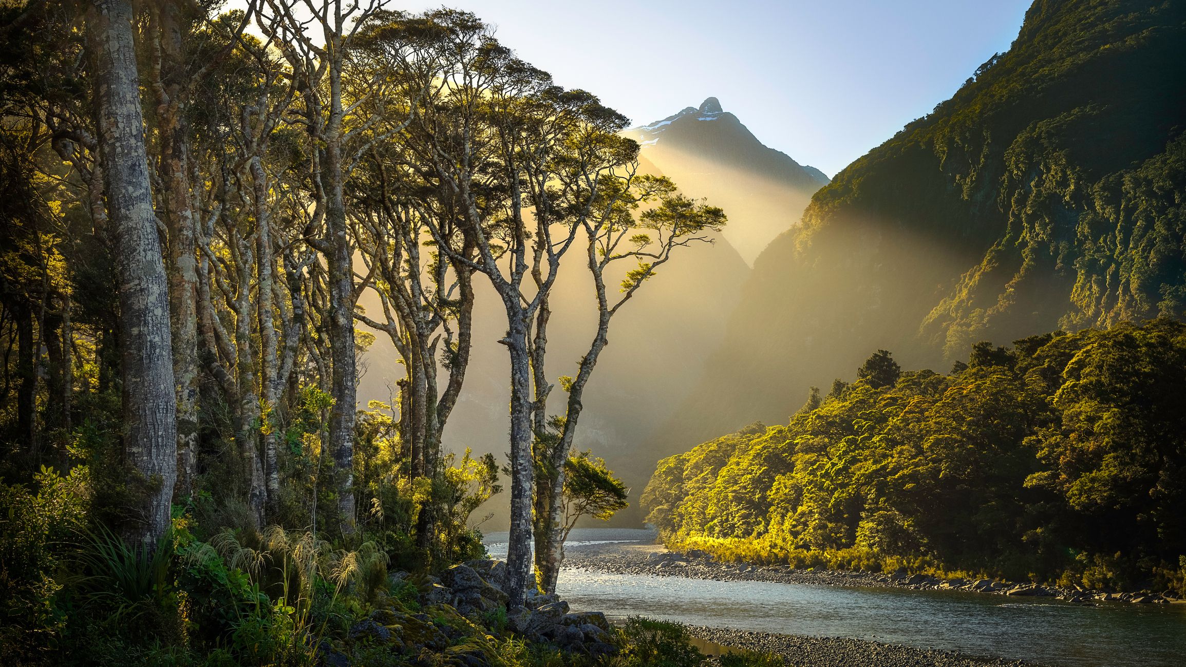 fiordland new zealand