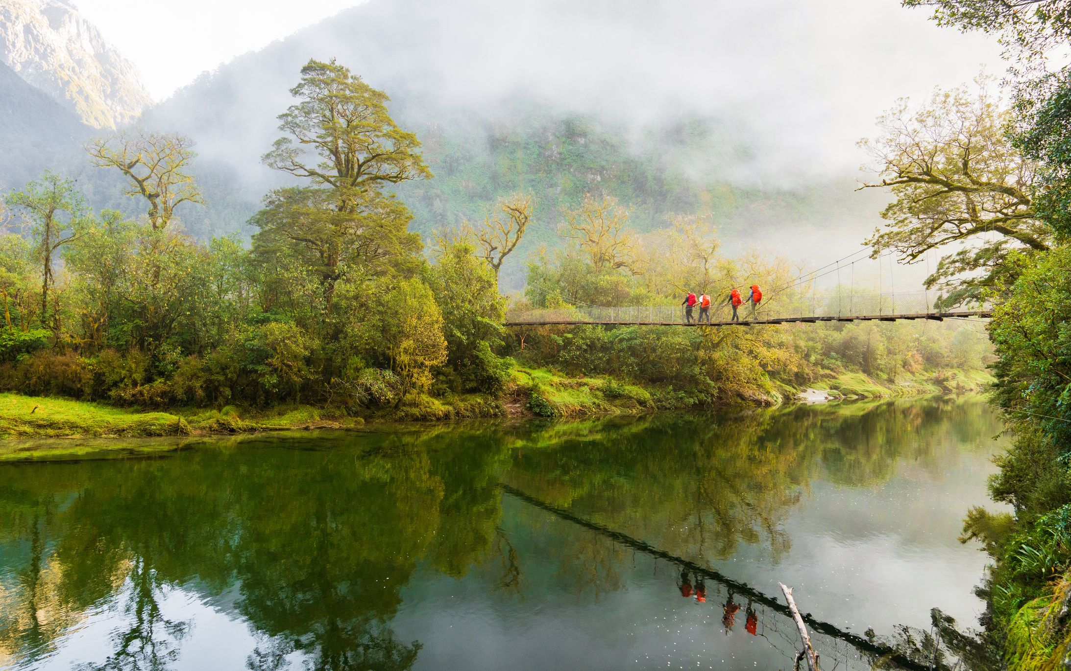 fiordland new zealand