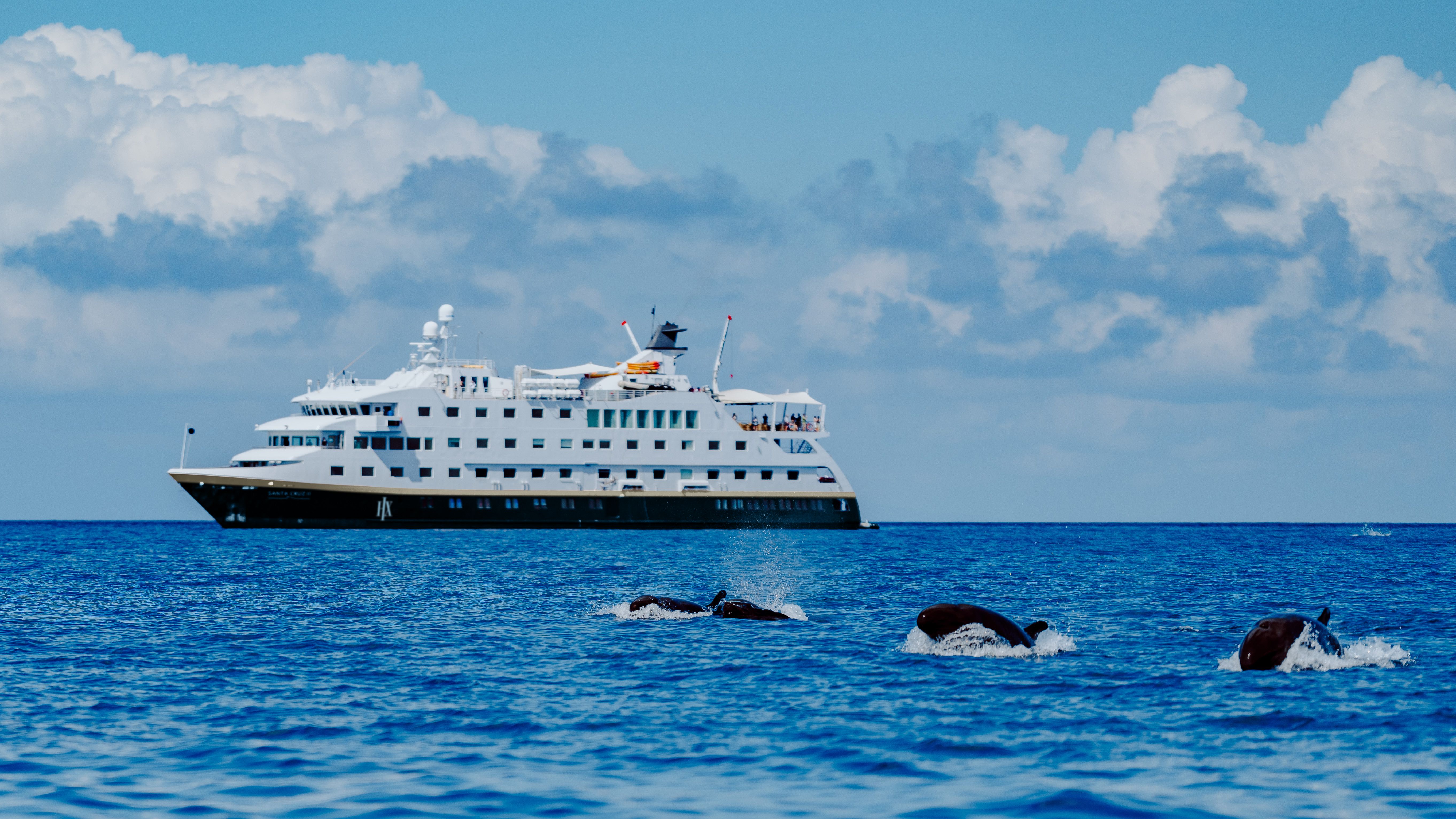 galapagos cruise