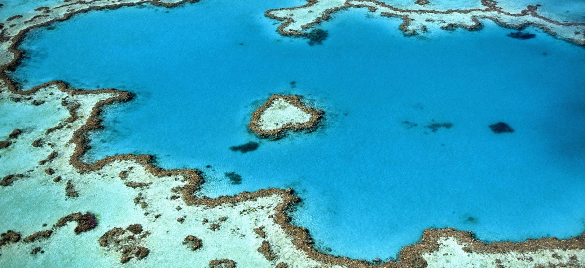 great barrier reef