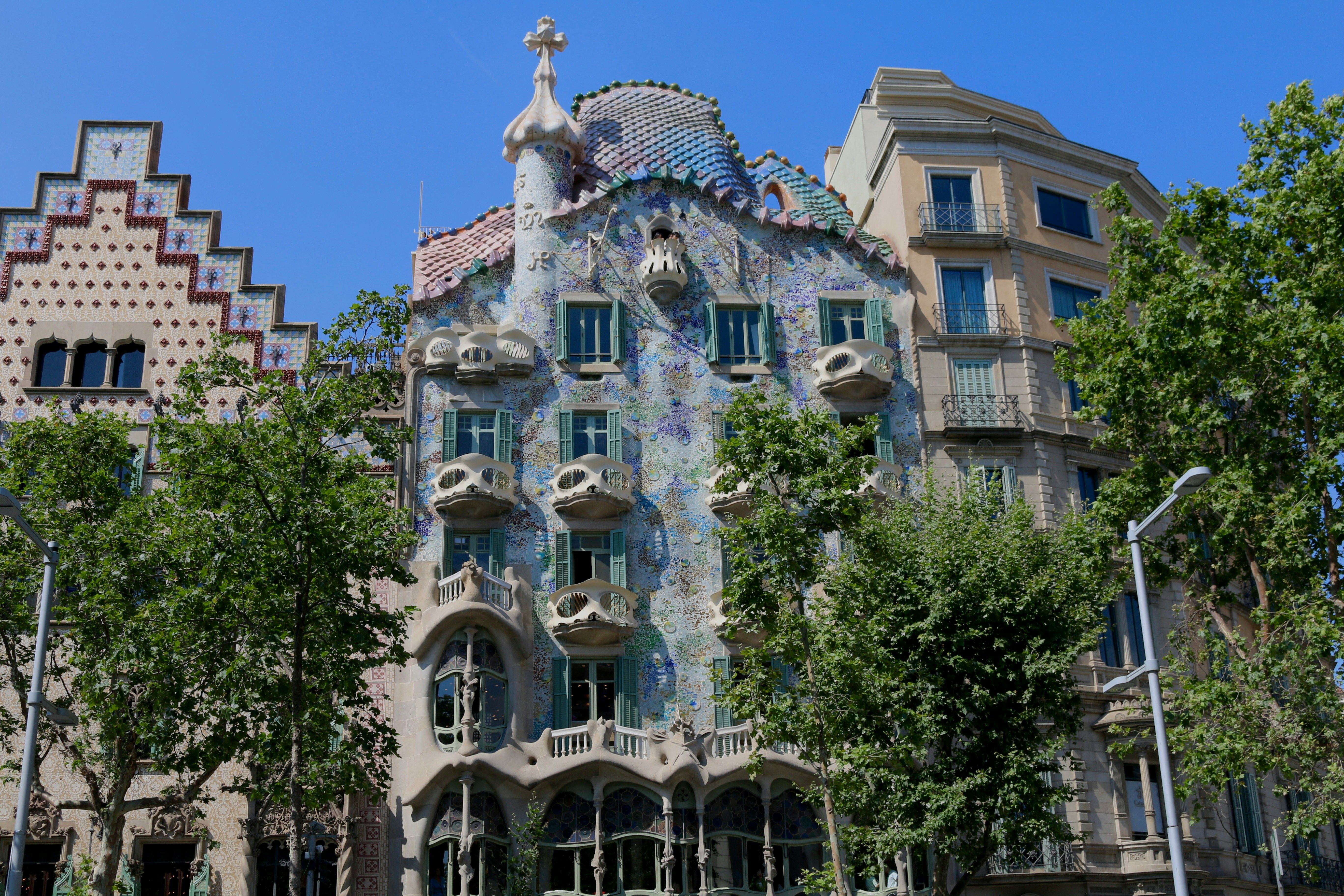 Cruise Image 33