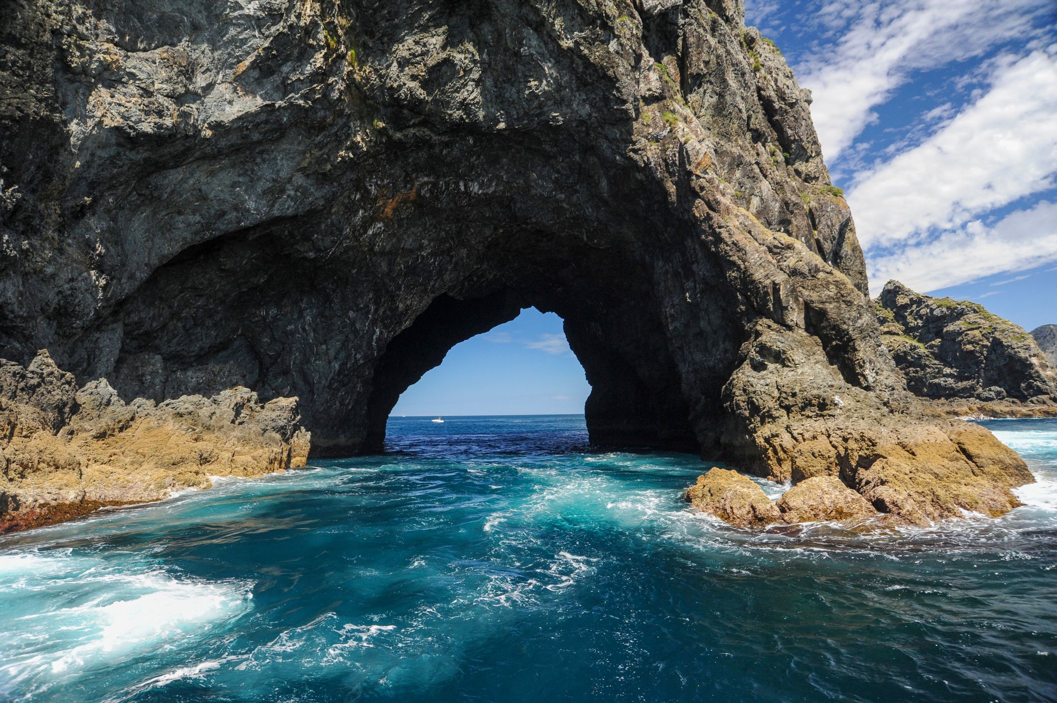 new zealand bay of islands
