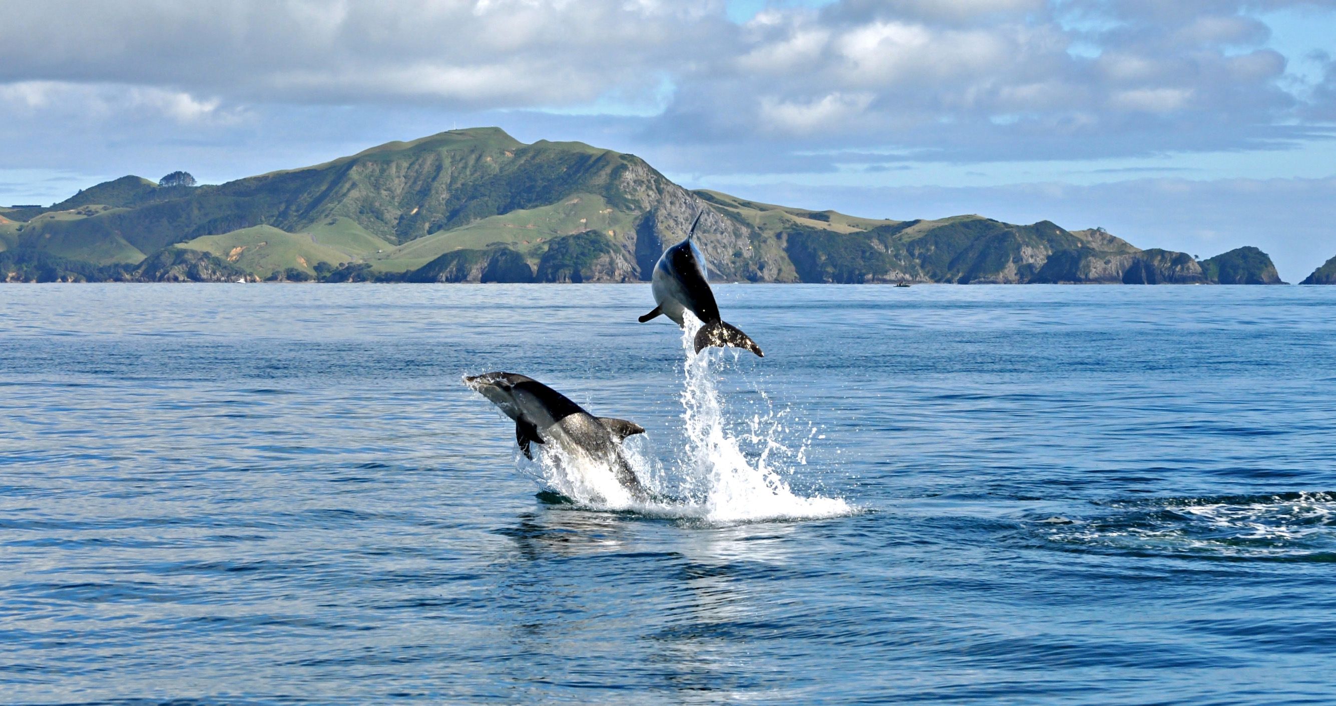 new zealand coast