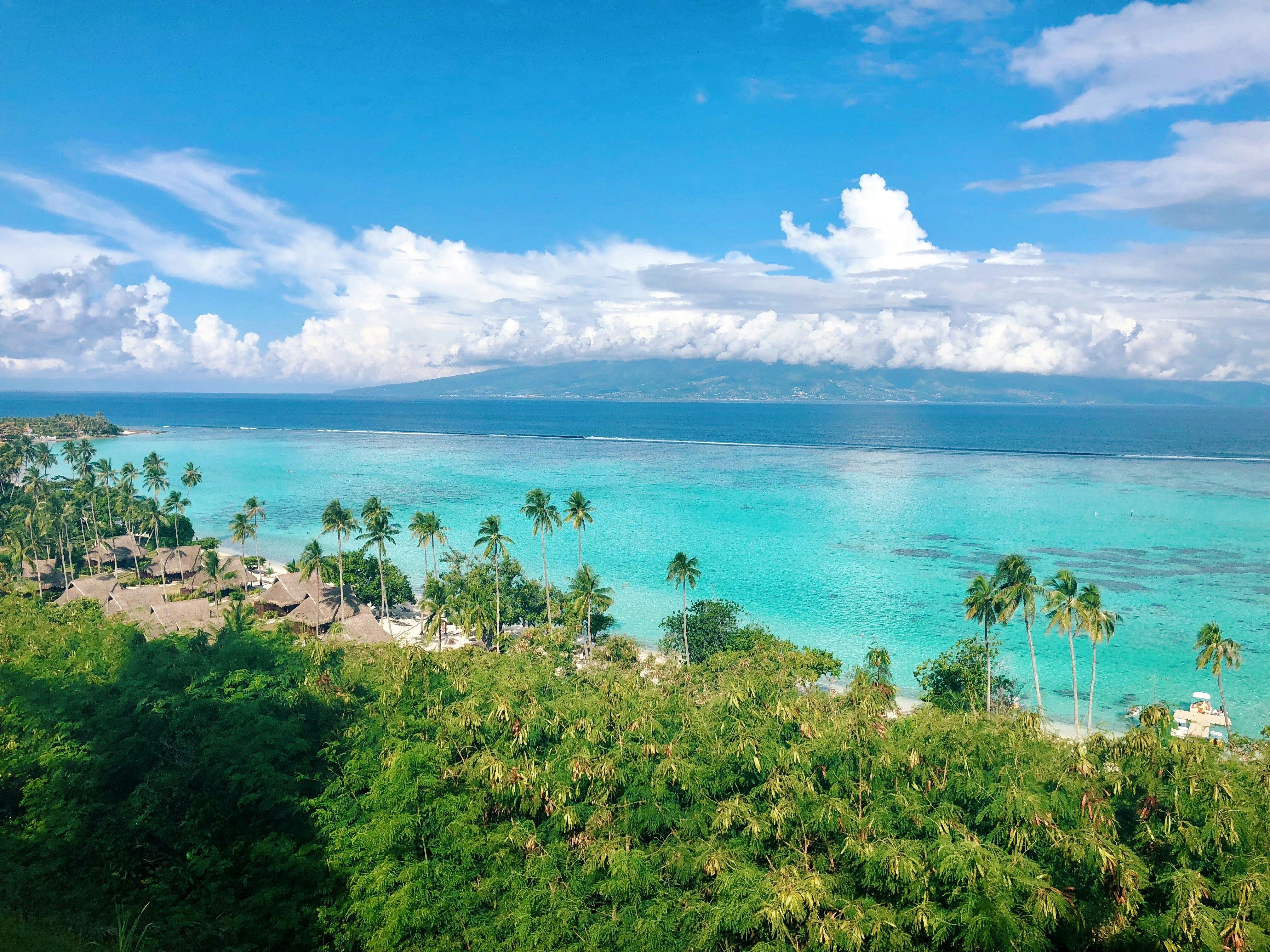 polynesia