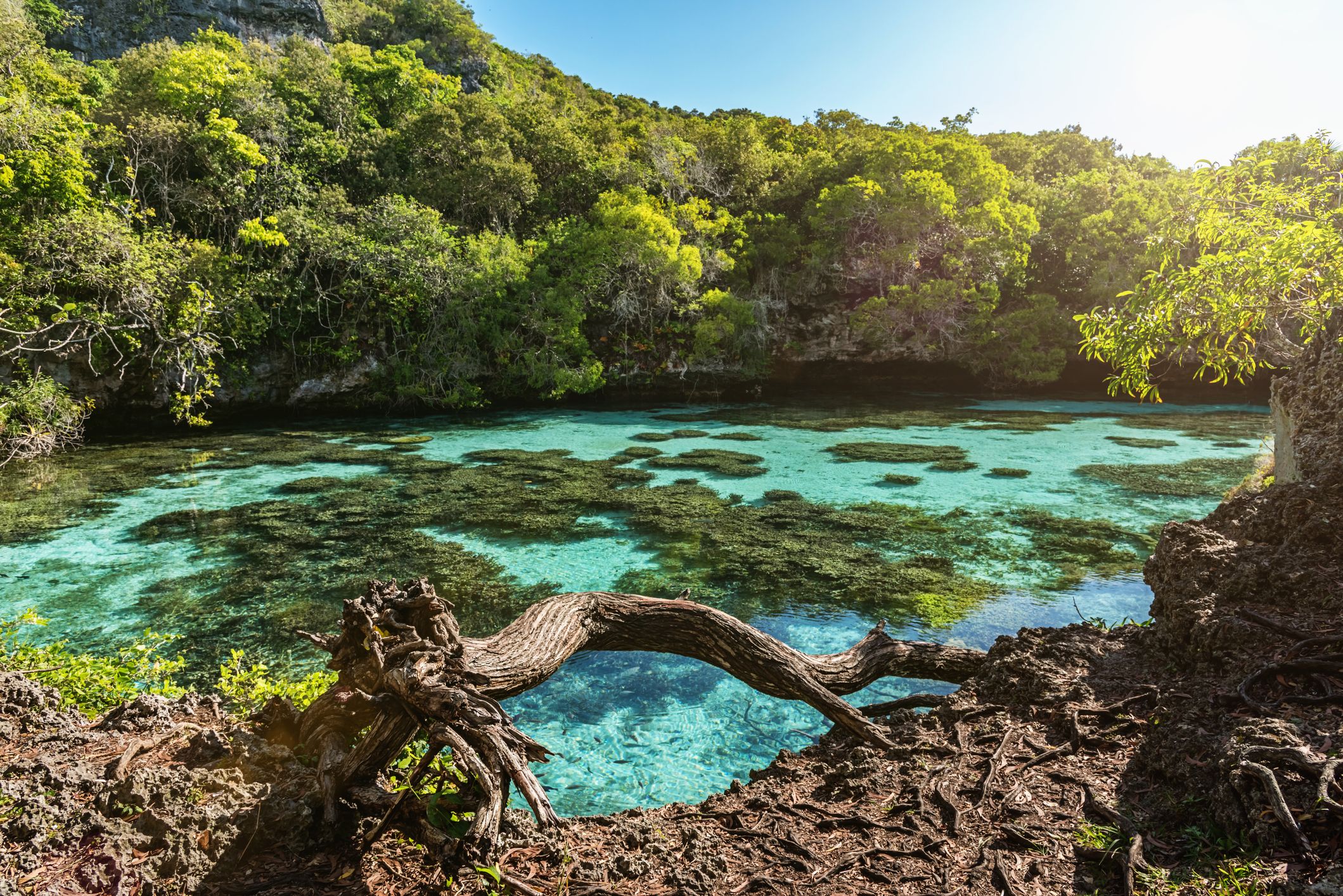 vanuatu lagoon