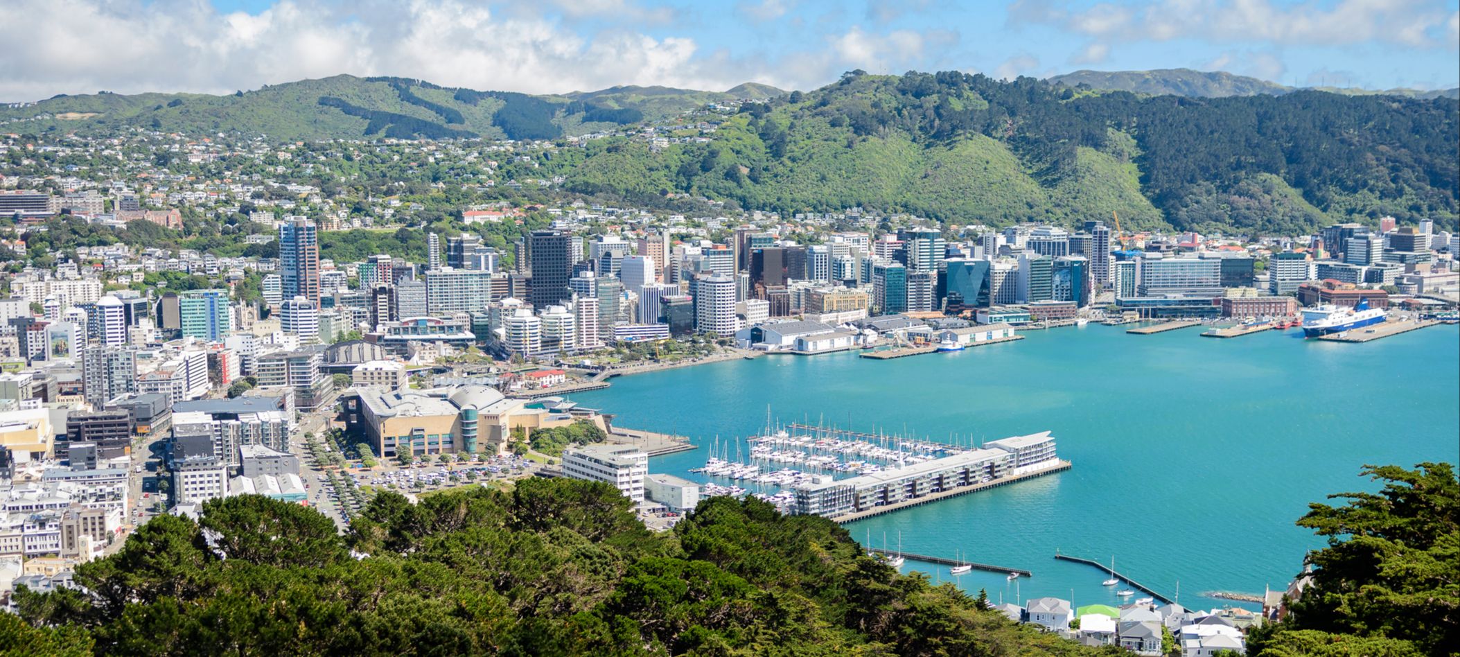 wellington new zealand