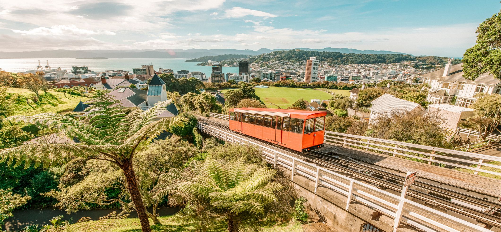 wellington new zealand