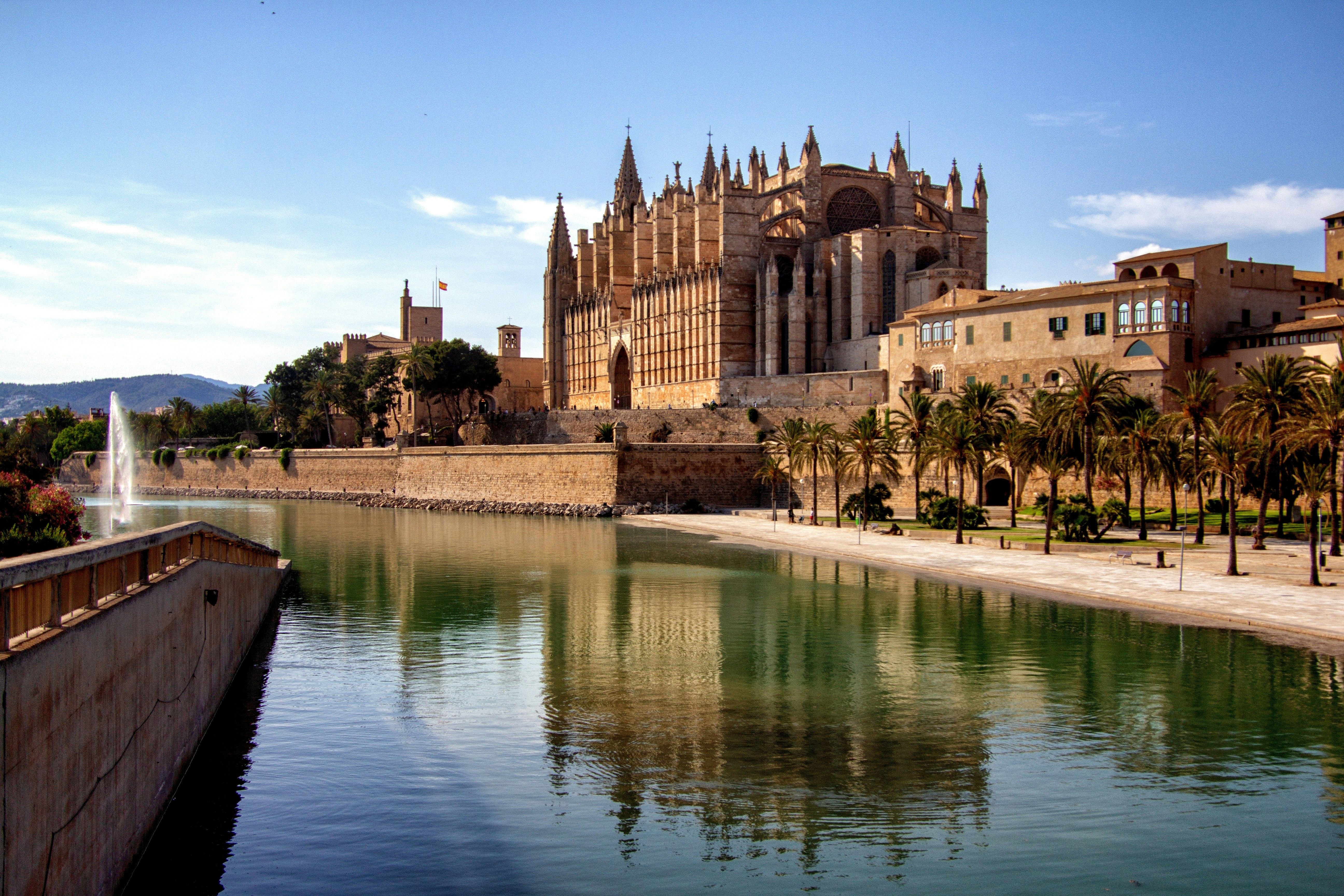 Cruise Image 31